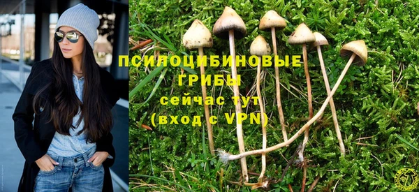 прущая мука Надым