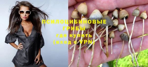 прущая мука Надым