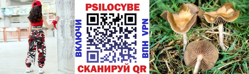 Псилоцибиновые грибы Psilocybine cubensis даркнет клад Сычёвка ссылка на мегу ТОР