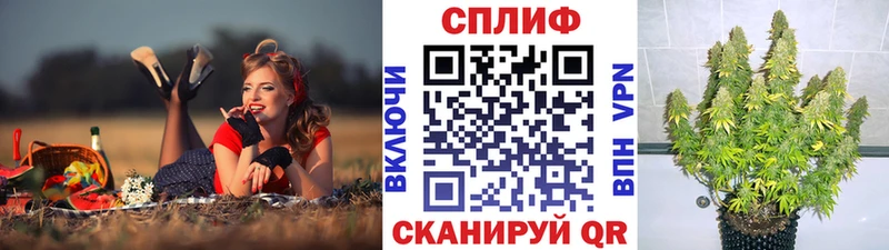 Бошки марихуана сатива  Сычёвка 